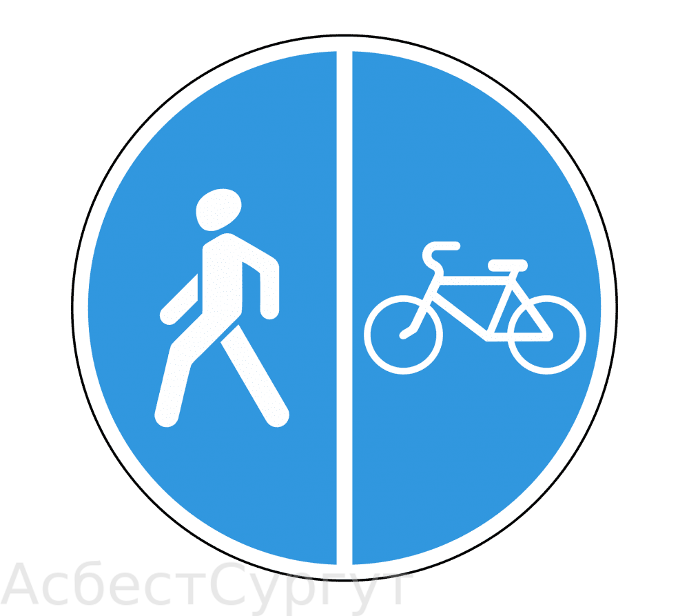 Дорожный знак 4.5.5. Пешеходная и велосипедная дорожка с разделением движения